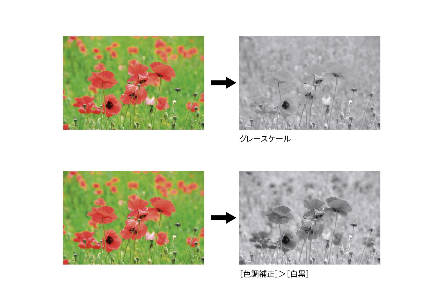 色調補正でモノクロに