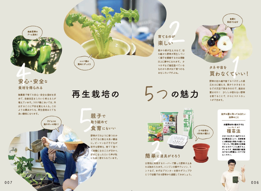 キッチンからはじめる！日本一カンタンな家庭菜園の入門本 おうち野菜づくり