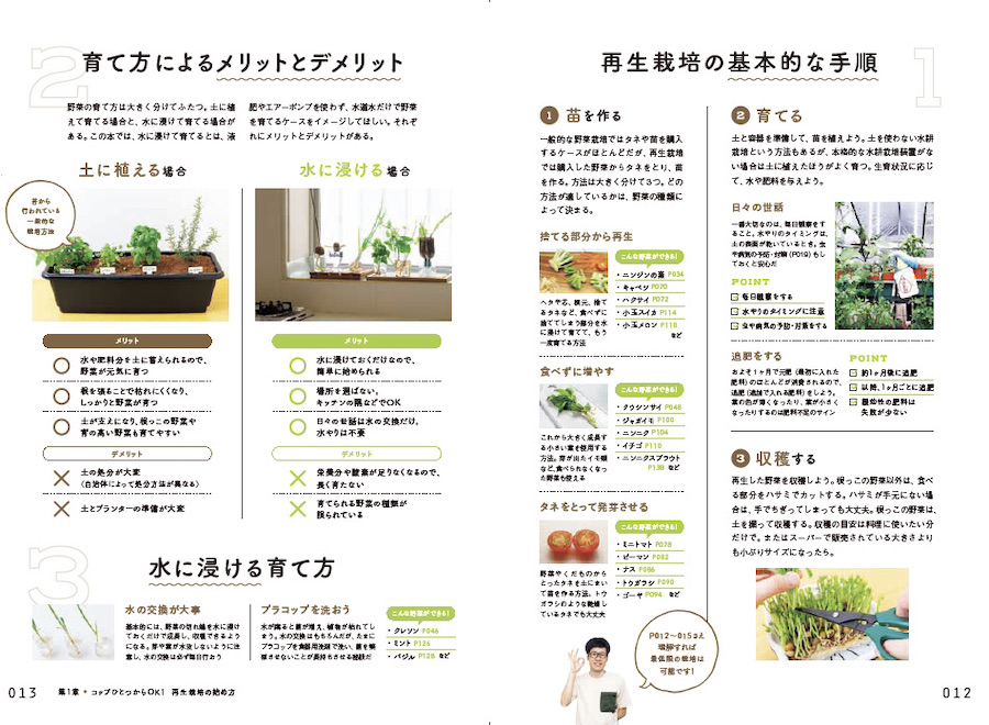 キッチンからはじめる！日本一カンタンな家庭菜園の入門本 おうち野菜づくり